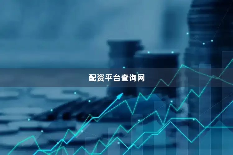 配资平台查询网