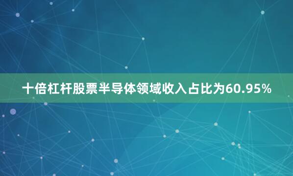 十倍杠杆股票半导体领域收入占比为60.95%