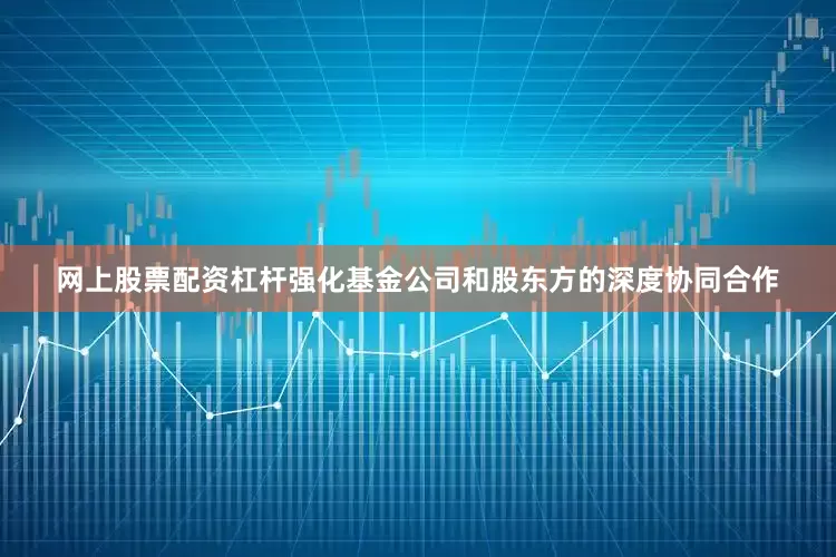 网上股票配资杠杆强化基金公司和股东方的深度协同合作
